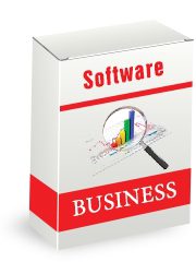 Business Intelligence